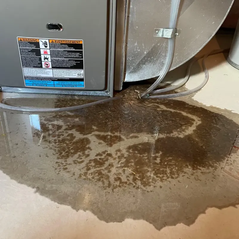 Appliance Leak Cleanup in Prairie Village, KS